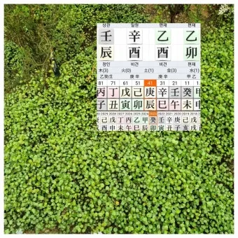 상관패인과 상관견관 설명과 특징_20