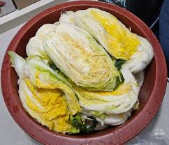 배추 이렇게 골라야 맛있다