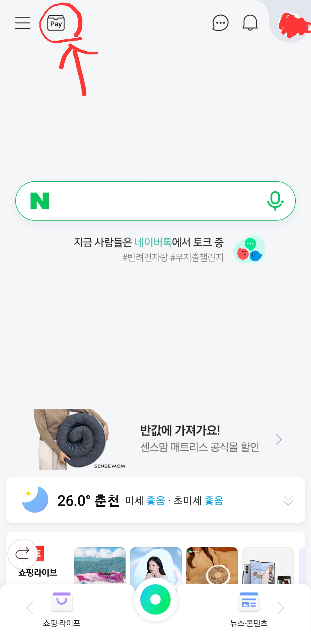 네이버-홈페이지-화면에서-pay-클릭