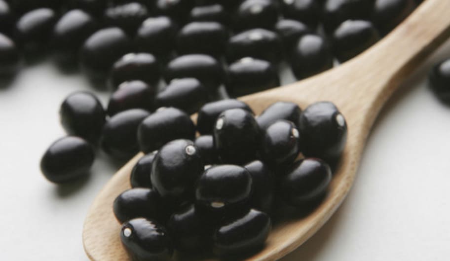 검은콩