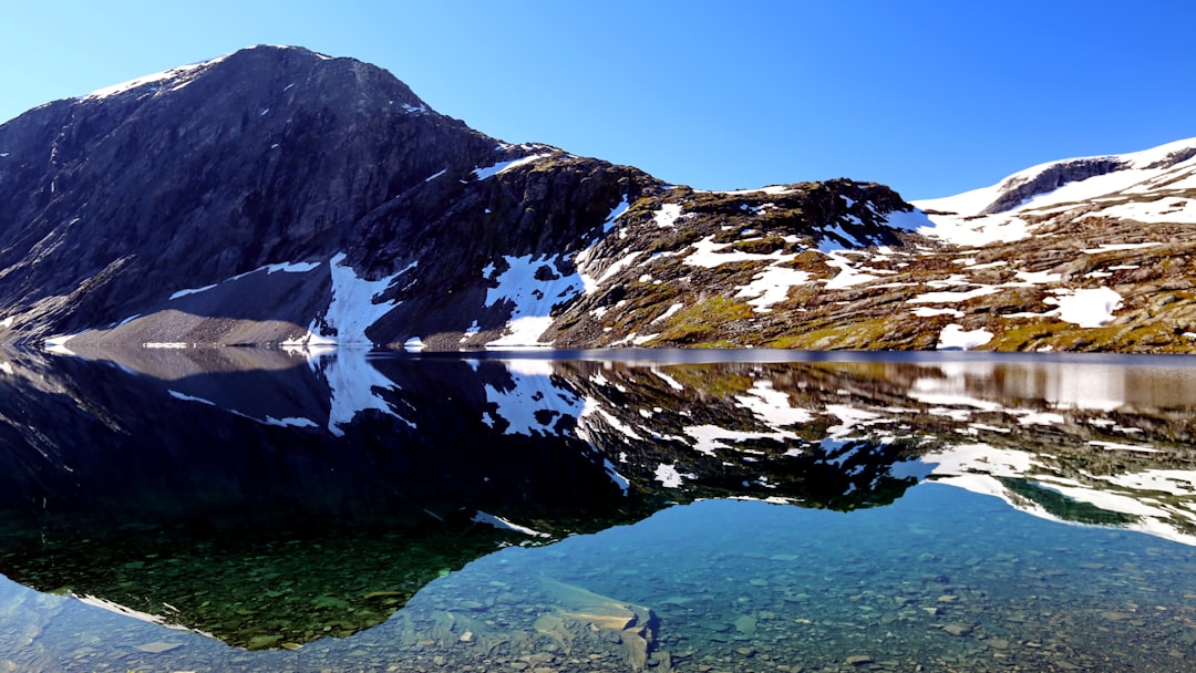 Mirroring