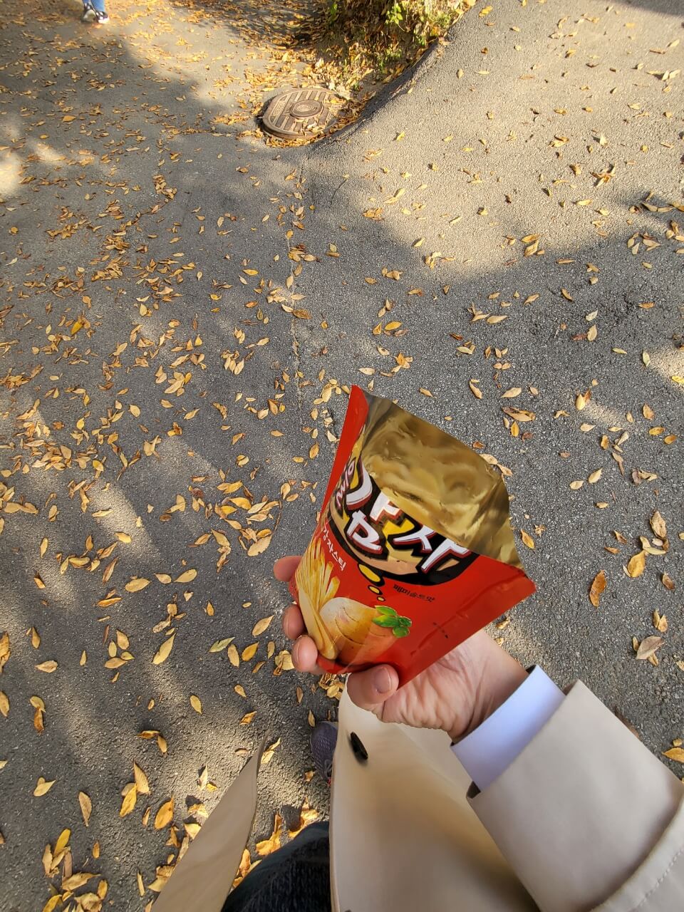 과자 먹느라 정신이 없음.