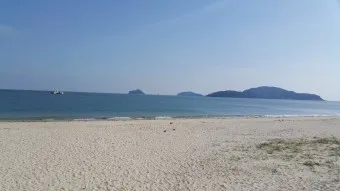 대천 호도 배편 배시간표 예매 요금 예약_6