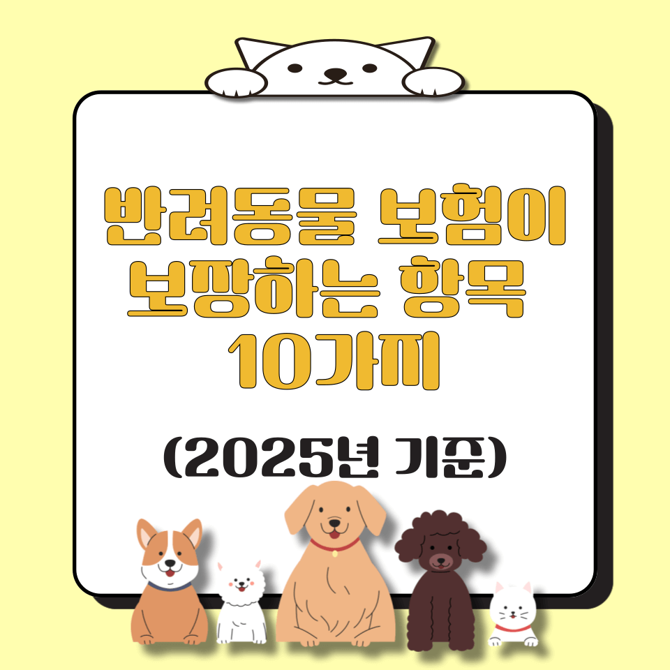 반려동물 보험이 보장하는 항목 10가지 (2025년 기준)