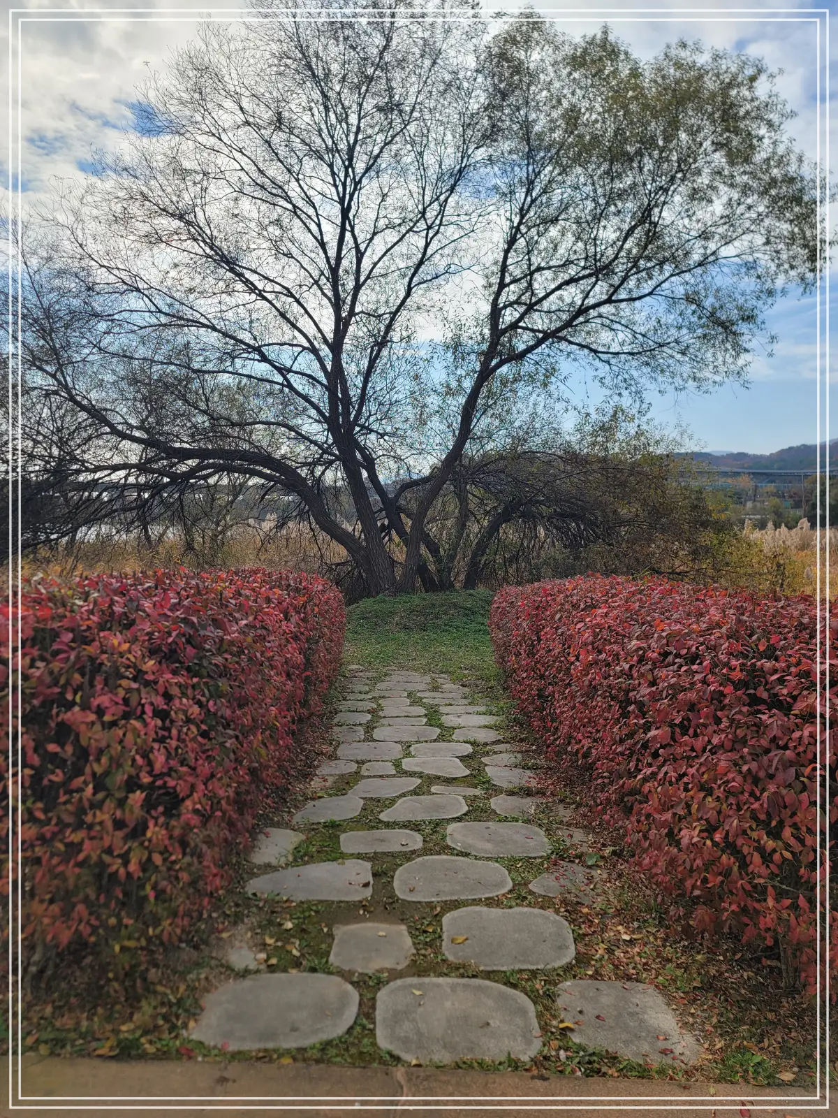 물의정원-산책길-주변