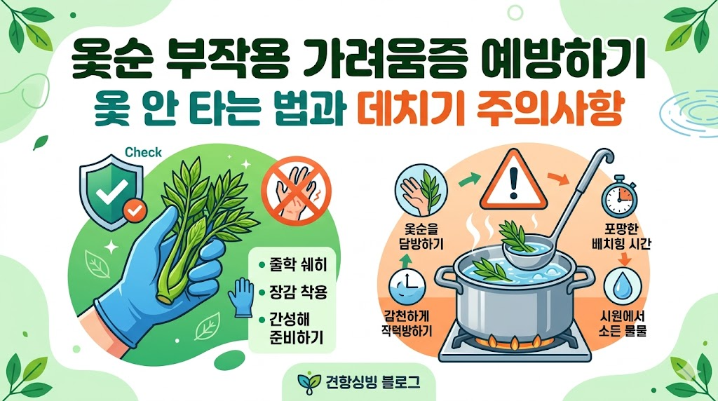 옻순 부작용 가려움증 예방하기: 옻 안 타는 법과 데치기 주의사항