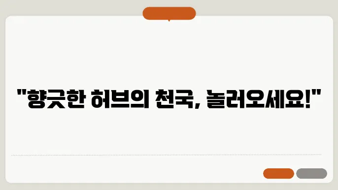 허브 아일랜드 카페