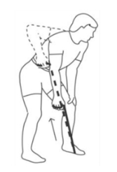 등근육 강화 저항밴드 다이어트