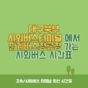 대구북부시외버스터미널에서 안계버스정류장 가는 시외버스 시간표 최신정보