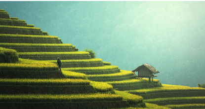 직불금 신청자격