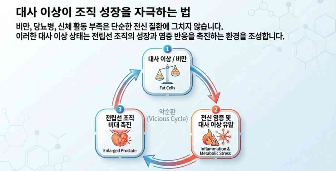 전립선비대증원인-사진4