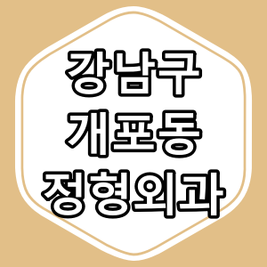 서울 강남구 개포동 정형외과 전문의 진료 하는 동네 의원