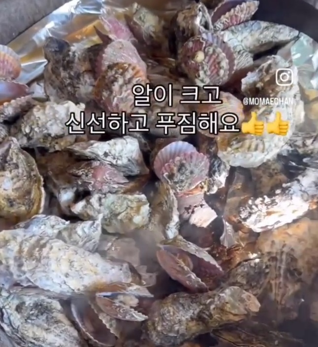 창원-직접굴작업-굴구이