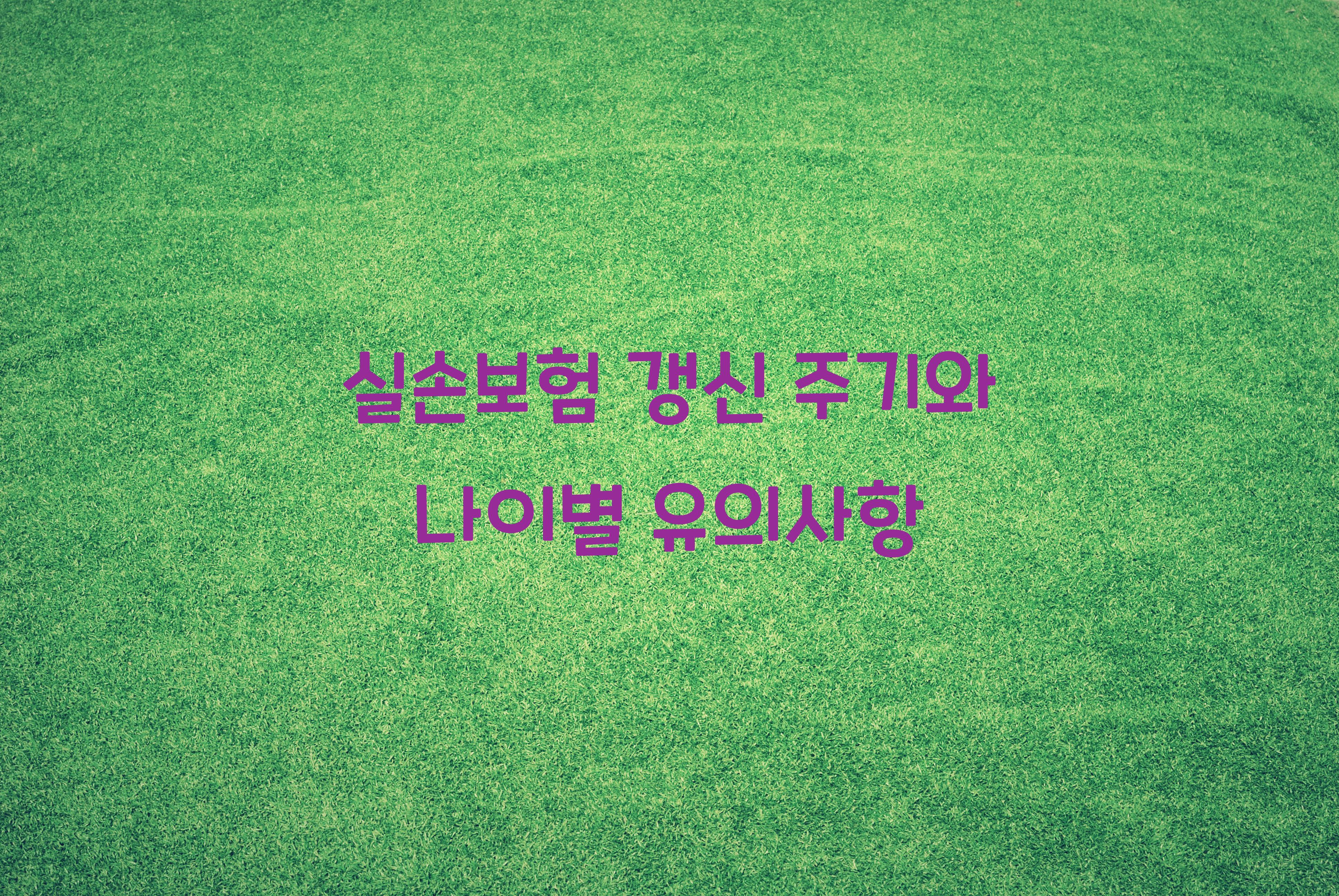 실손보험 갱신 주기