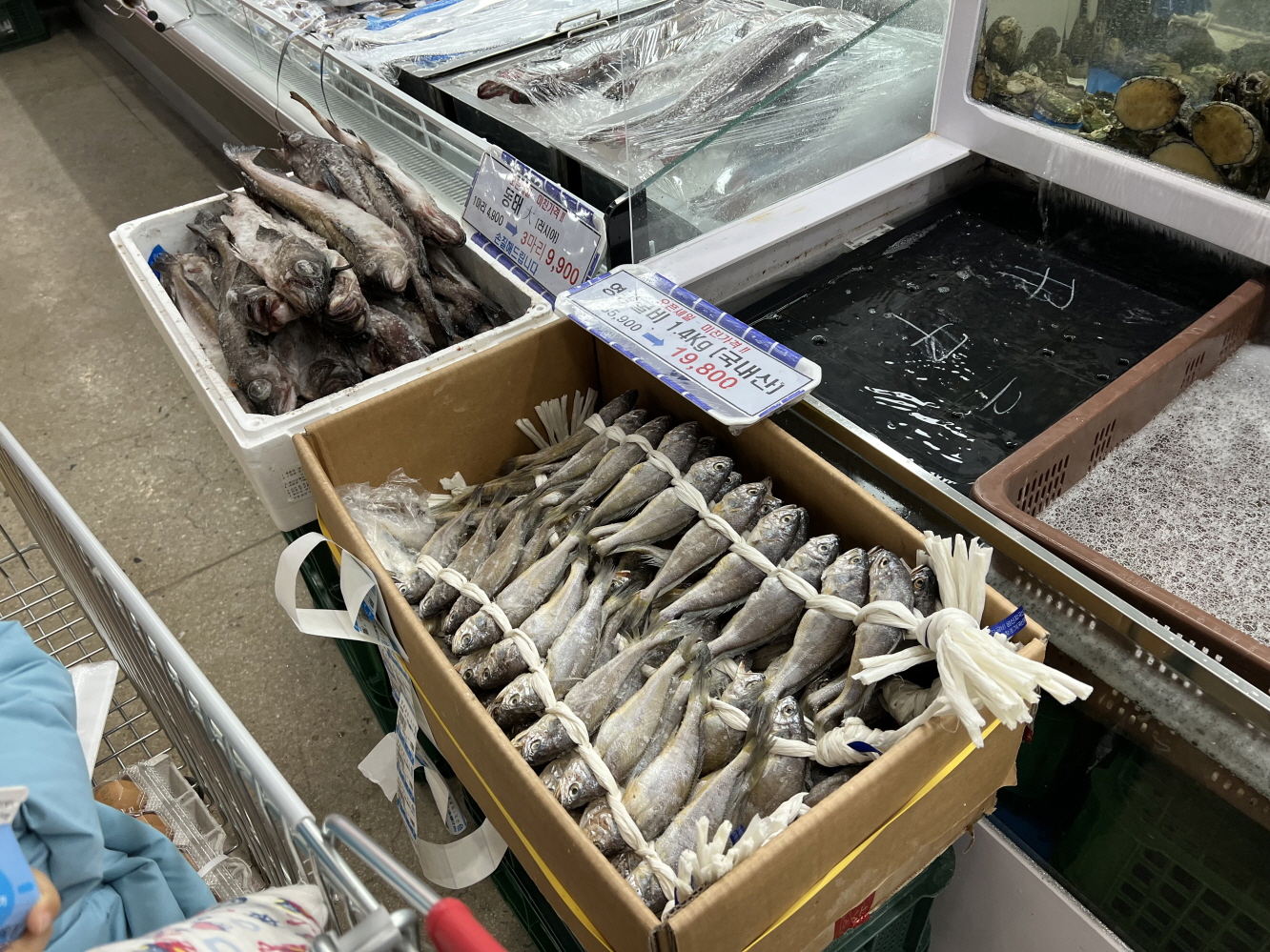 마켓세종
