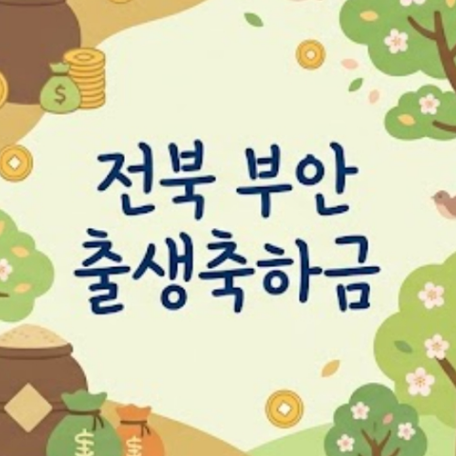 전북 부안 출생축하금