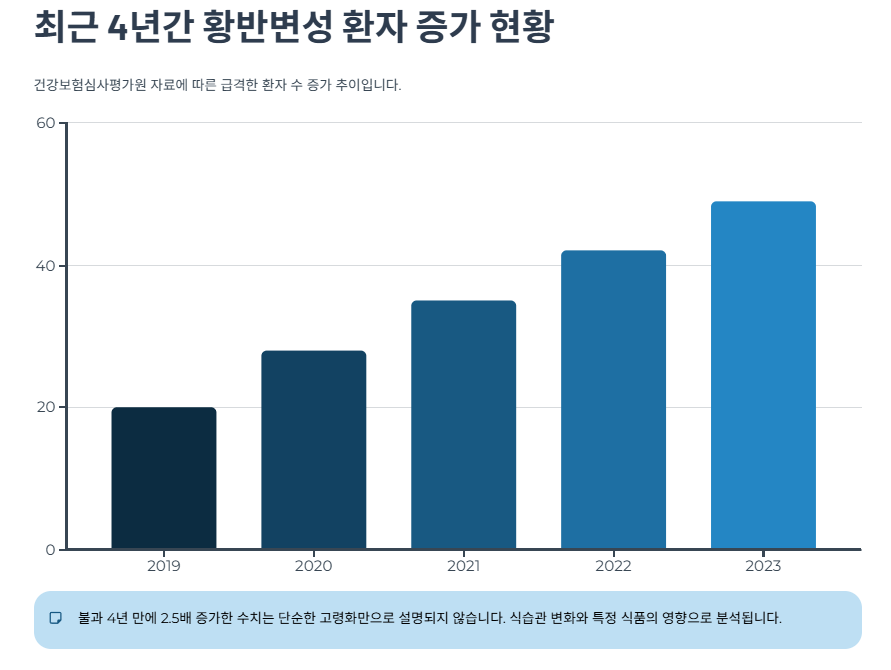 최근 4년간 황반변성 환자 증가 현황
