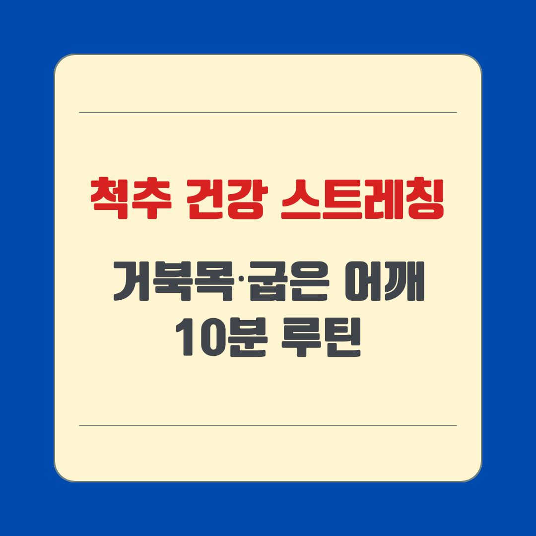 척추 건강 스트레칭, 거북목·굽은 어깨 10분 루틴