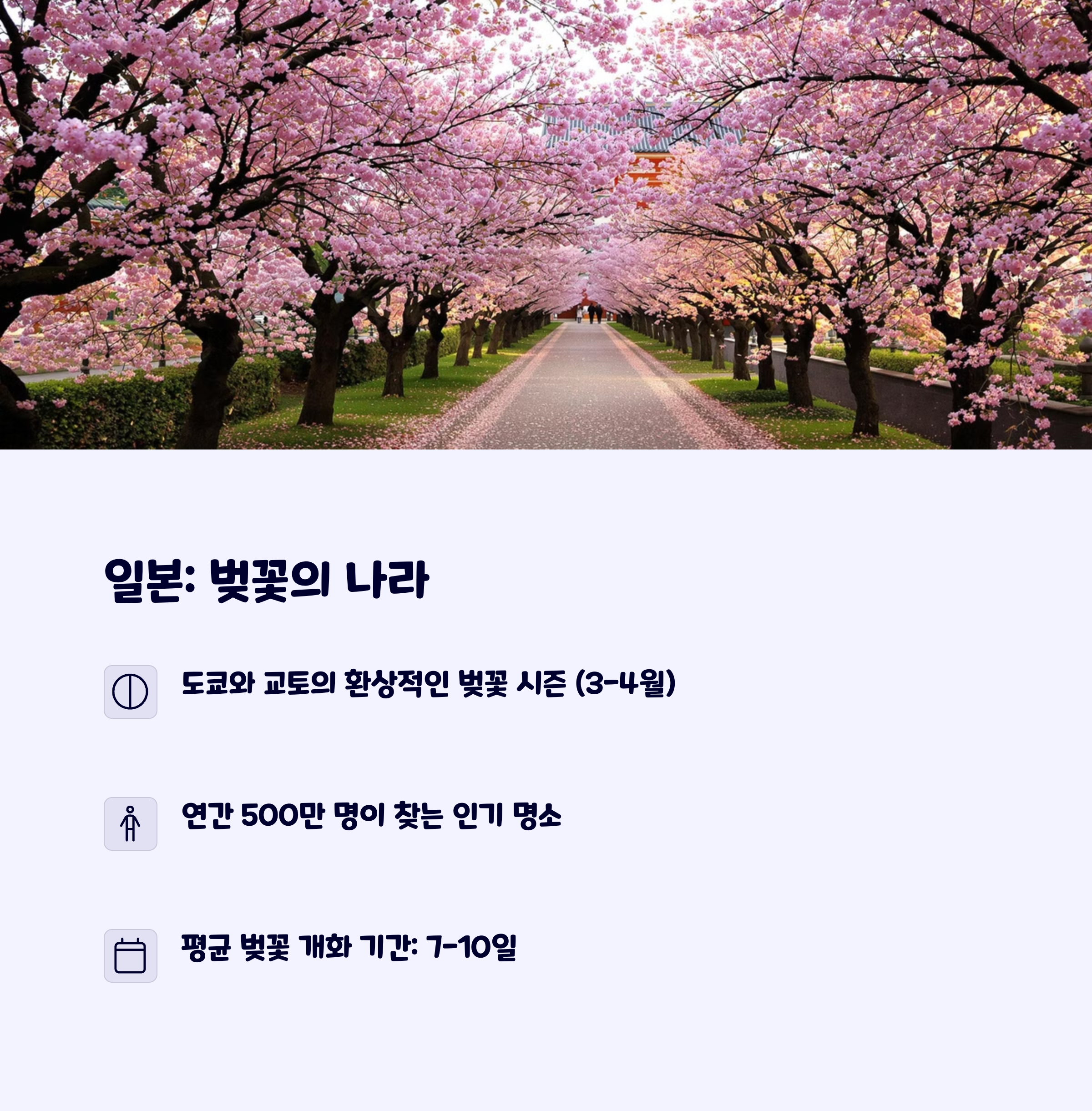 벚꽃명소