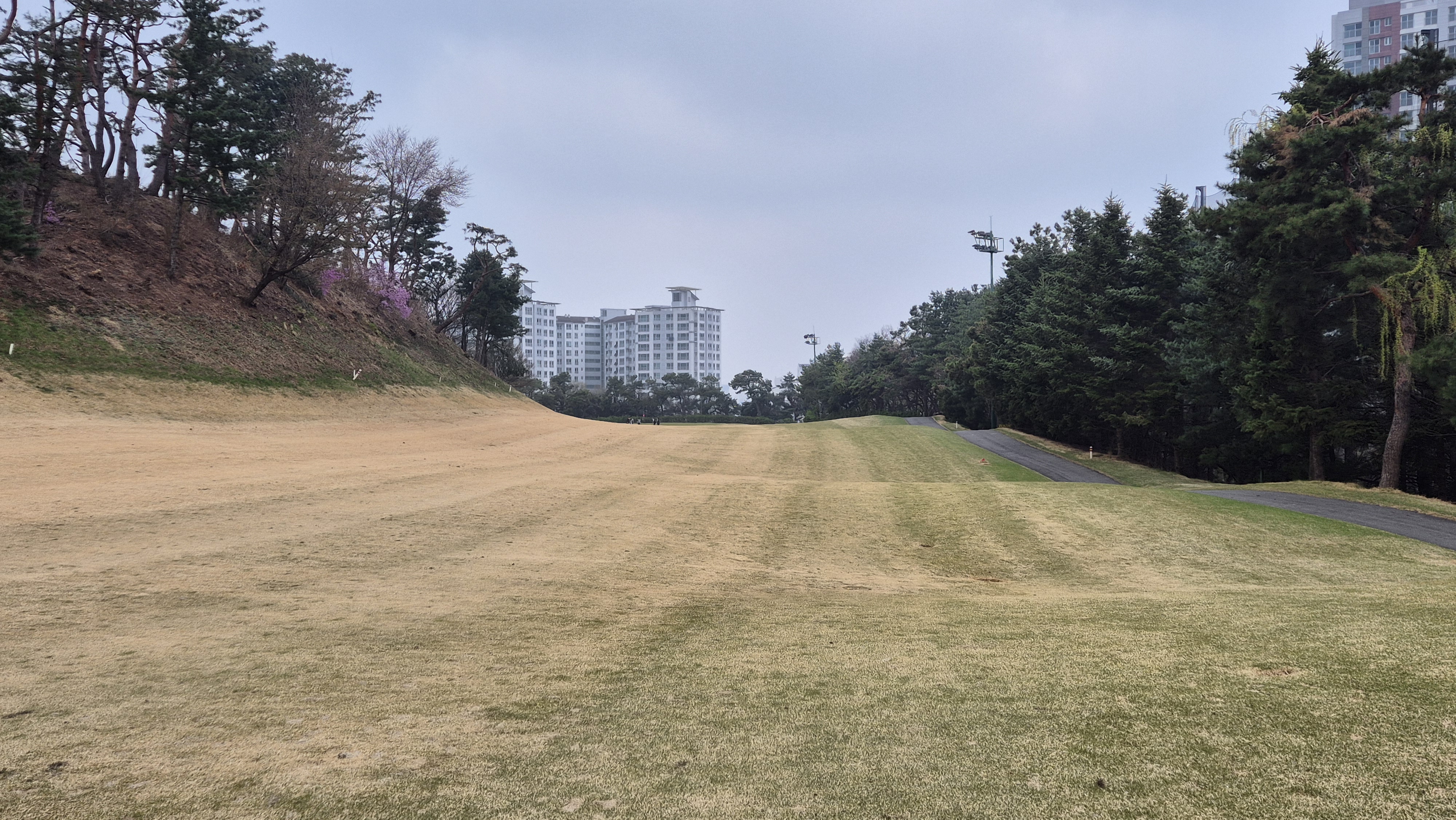 캐슬렉스cc