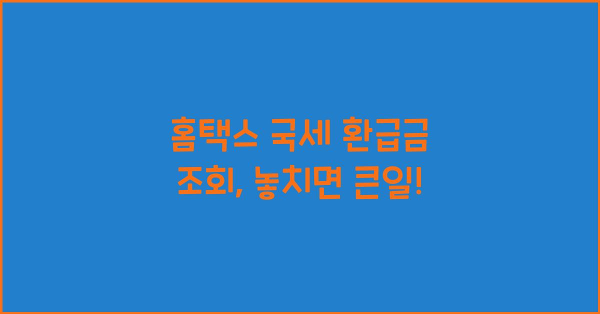 홈택스 국세 환급금 조회