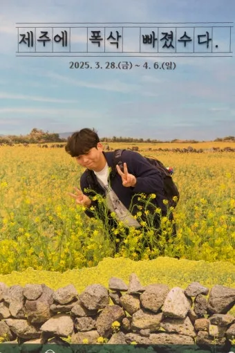 폭삭 속았수다 뜻과 실제 사용 예시_6