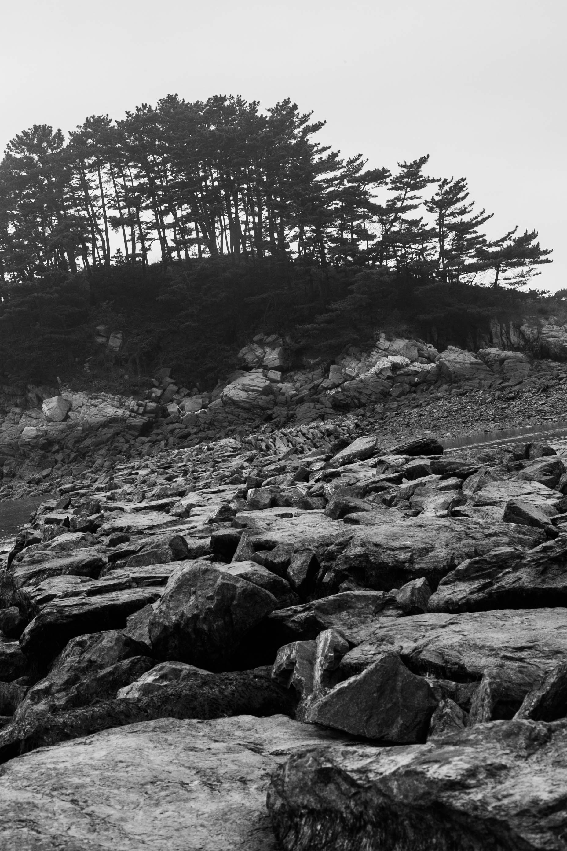 김포 초보자가 사진 찍기 좋은 장소 5곳 추천