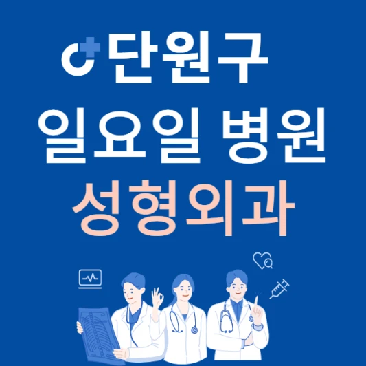 안산시-단원구-일요일-성형외과-진료하는곳-주말에-문여는-단원구-24시간-성형외과-병원-찾기