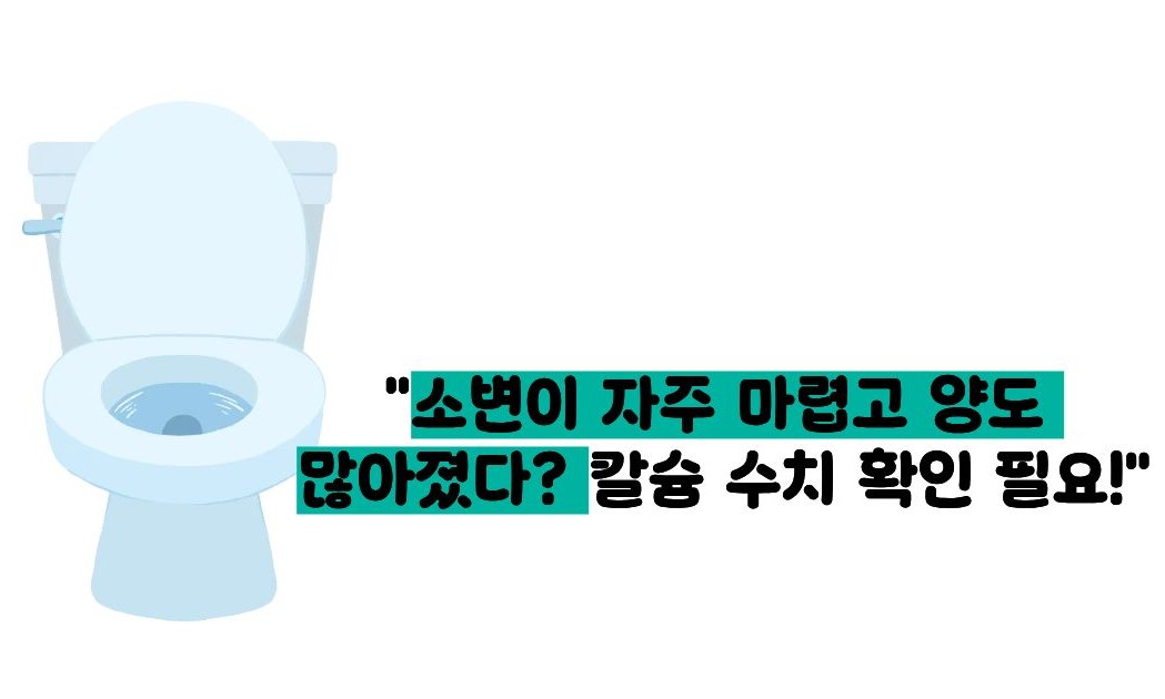 고칼슘혈증 증상
