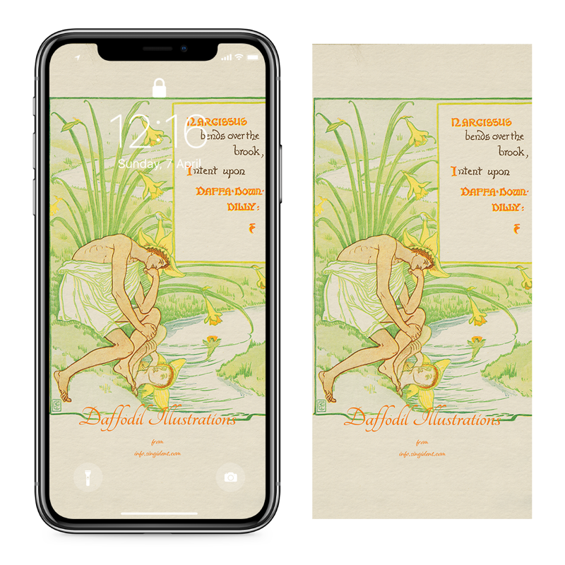13 나르키소스와 수선화 C - Daffodil Illustrations 아이폰봄배경화면