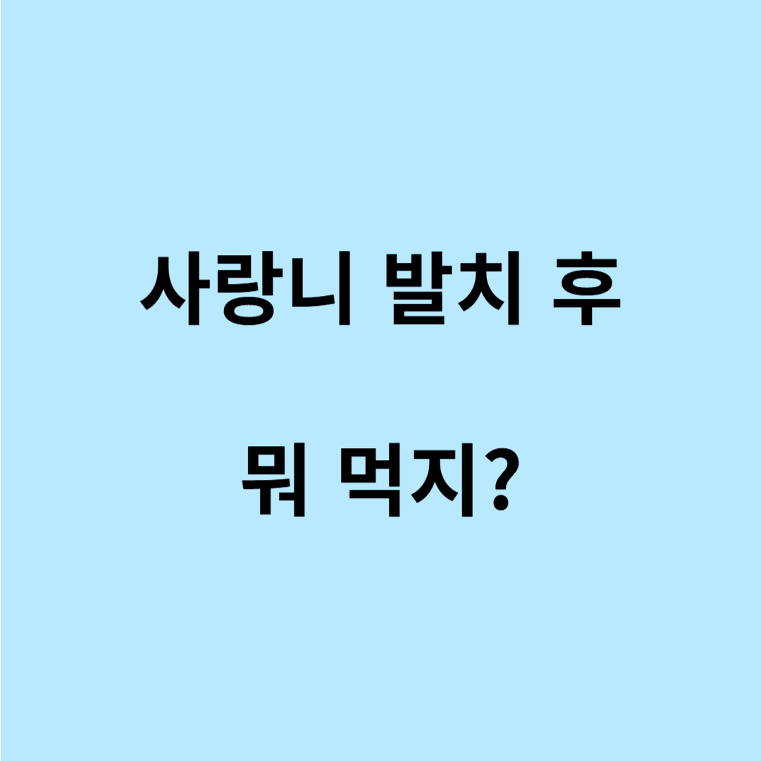 사랑니 발치후 식사 음식