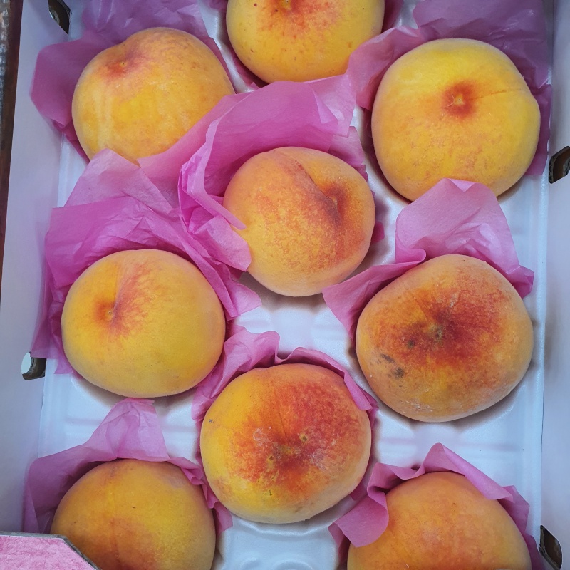 잘익은-복숭아-한박스