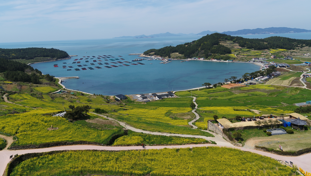 청산도