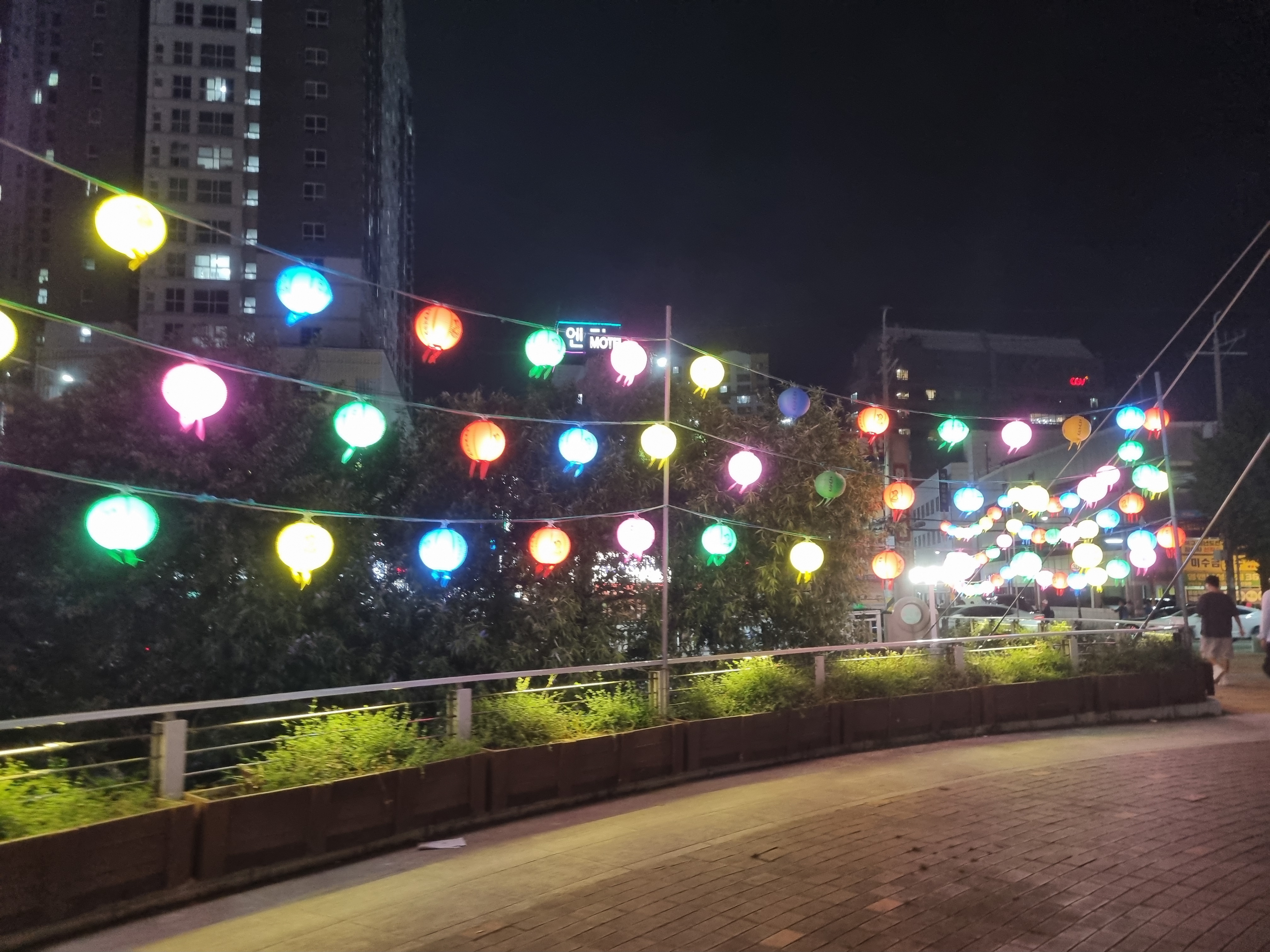 사직공원 빛의숲