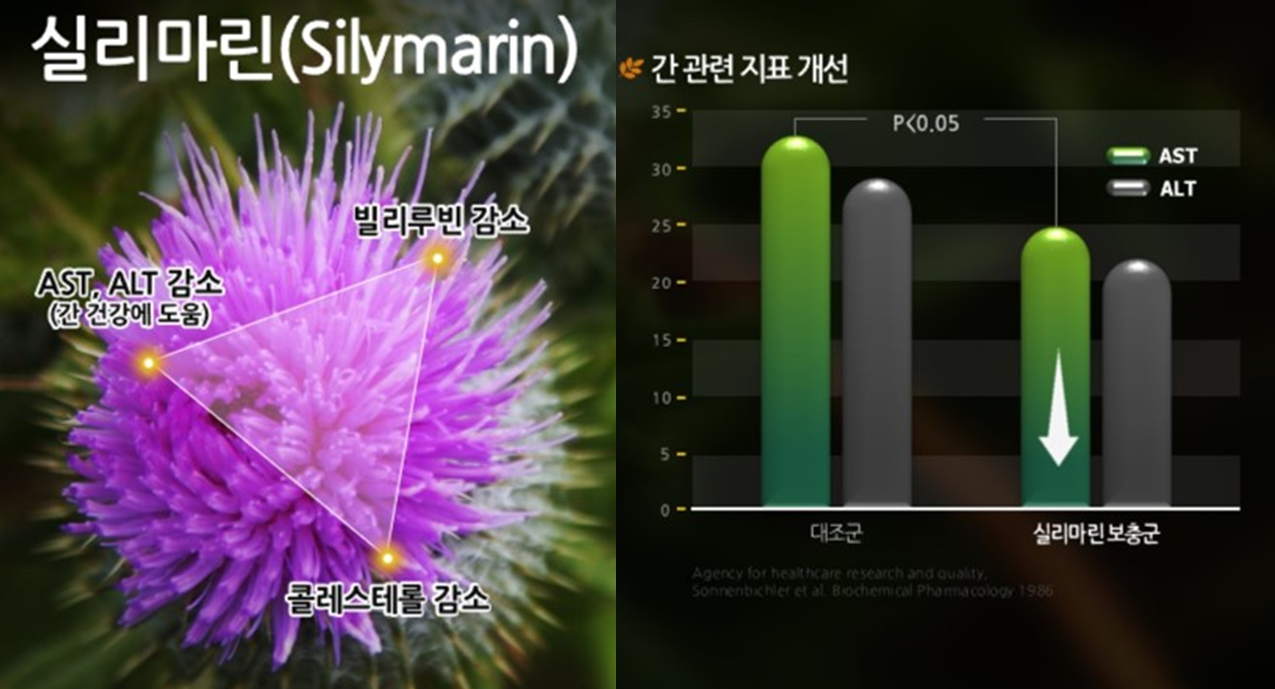 실리마린