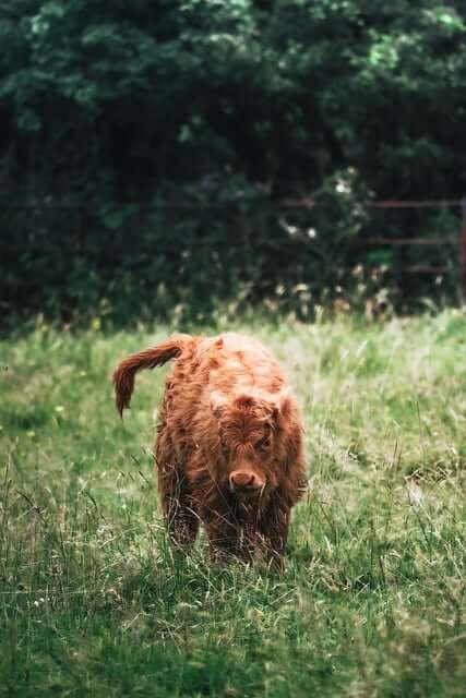 제로웨이스트보다 현실적인 ‘로우 웨이스트’ 실천법 소개