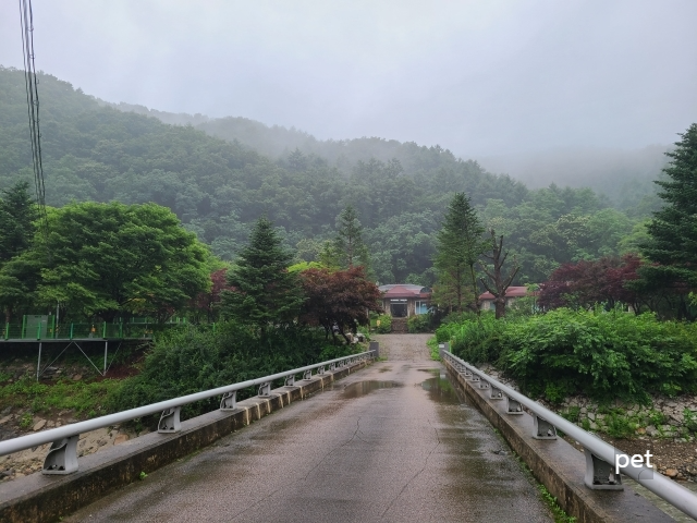 경기-연천-보물나라캠프-예약-방법-애견-동반-가격-주소-시간-후기