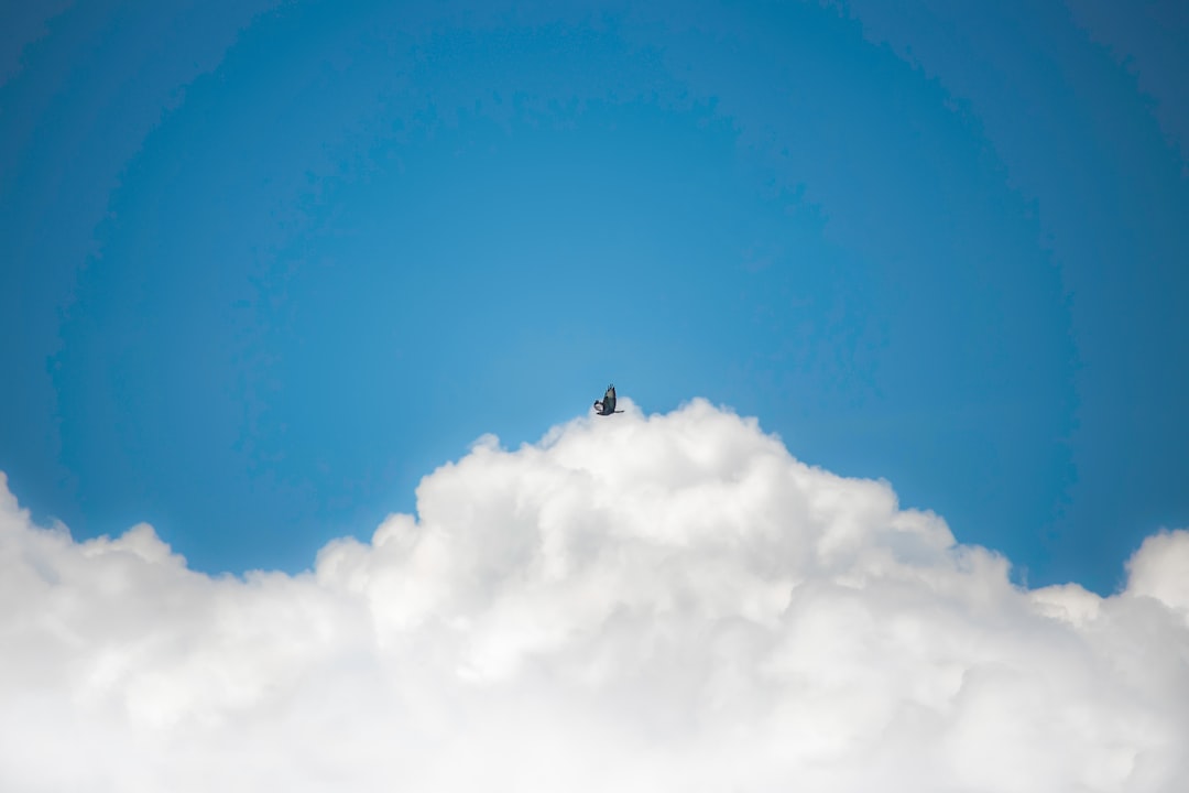 Minimalism