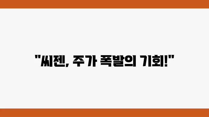 씨젠 주가 정보 관련 이미지