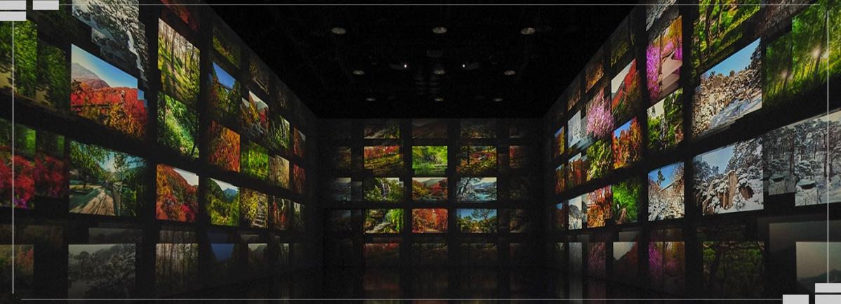 부산에서 화담숲까지, 당일치기 완벽 코스 공개