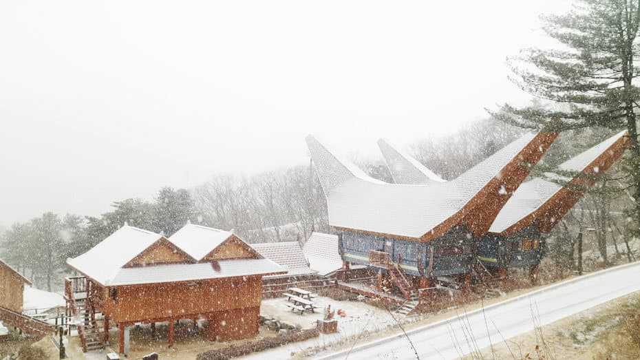 아세안자연휴양림 설경