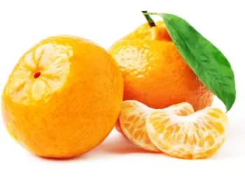 귤 가격 및 효능, 영양성분과 주의점