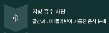  다이어트 차 3종 