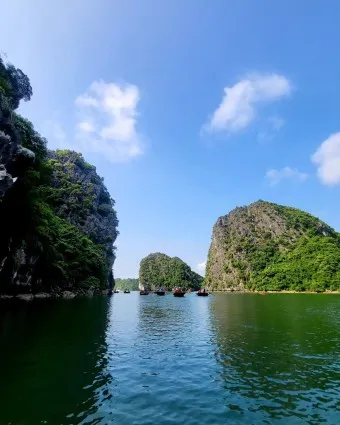 베트남 입국신고서 작성방법_16