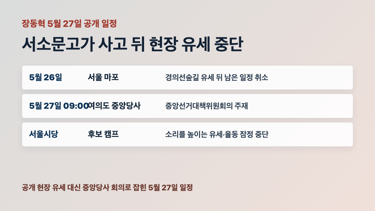 장동혁 위원장 서소문고가 사고 뒤 공개 현장 유세 중단 카드