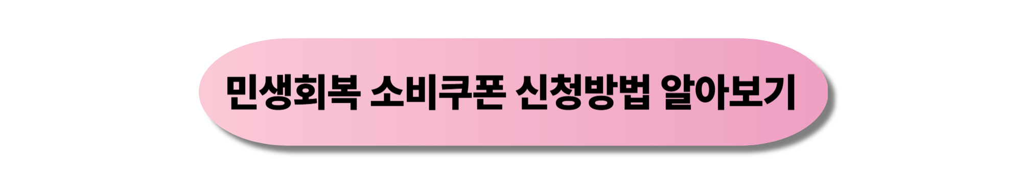 민생회복 소비쿠폰 사용처