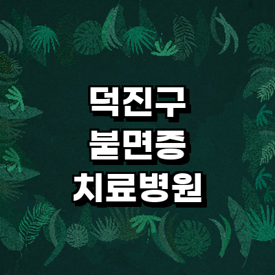 전주 덕진구 불면증