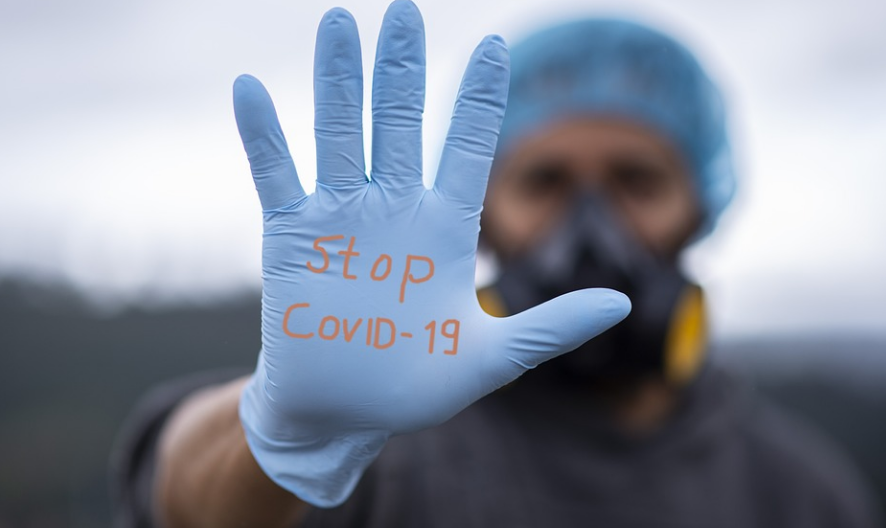 코로나 바이러스