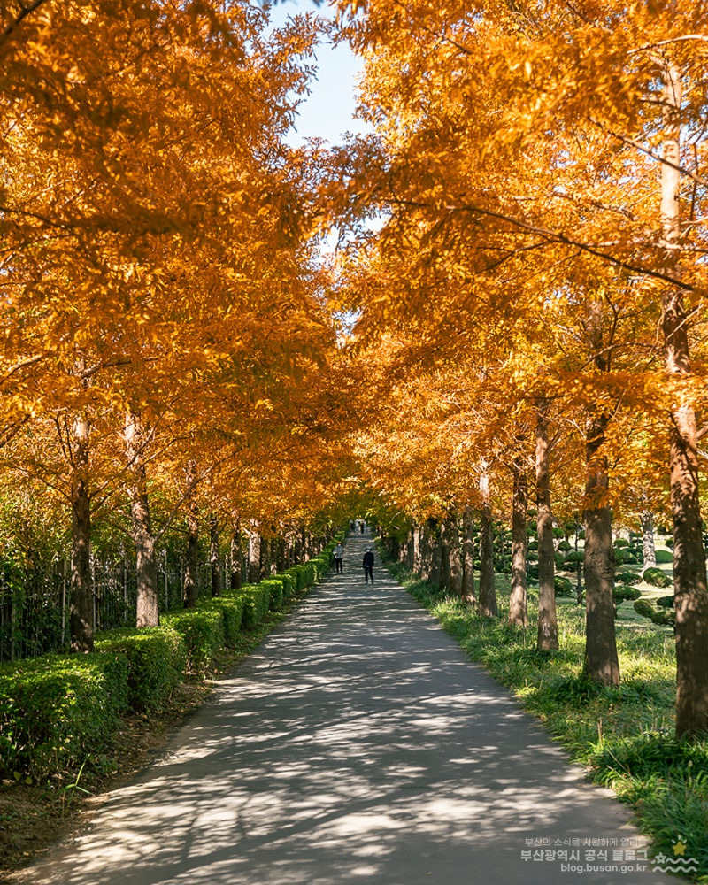 부산 가을 데이트 코스 추천