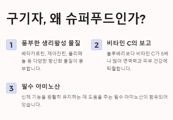 슈퍼푸드 구기자